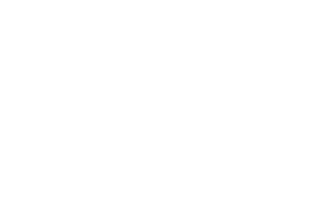Logo MV COMPANY