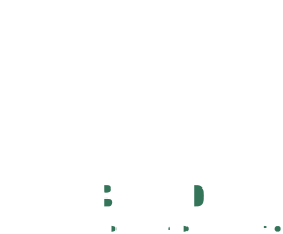 MV Company Logo
